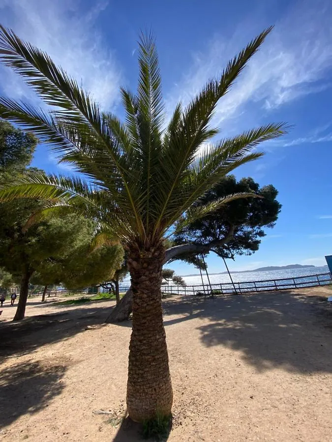 Apartment Carqueiranne Studio De Charme Proche Plages France