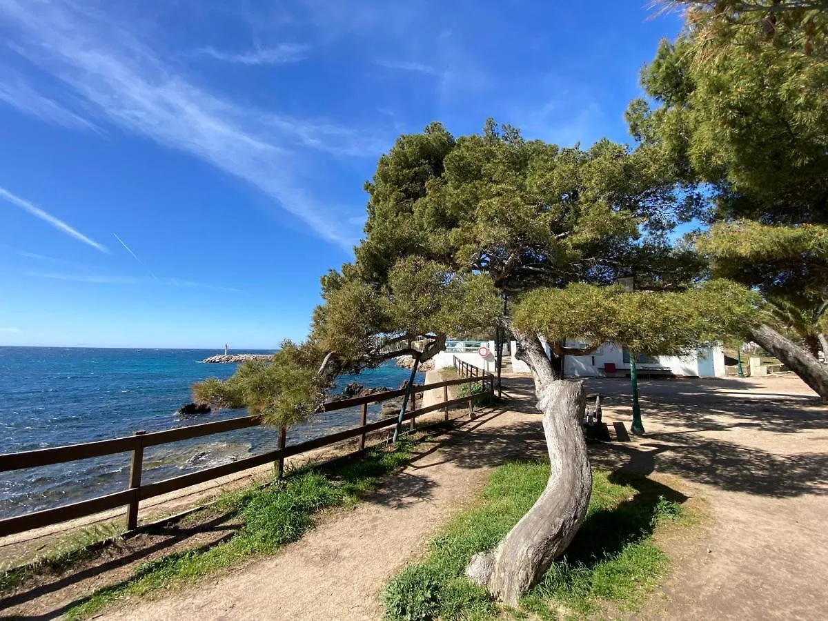 Carqueiranne Studio De Charme Proche Plages Apartment